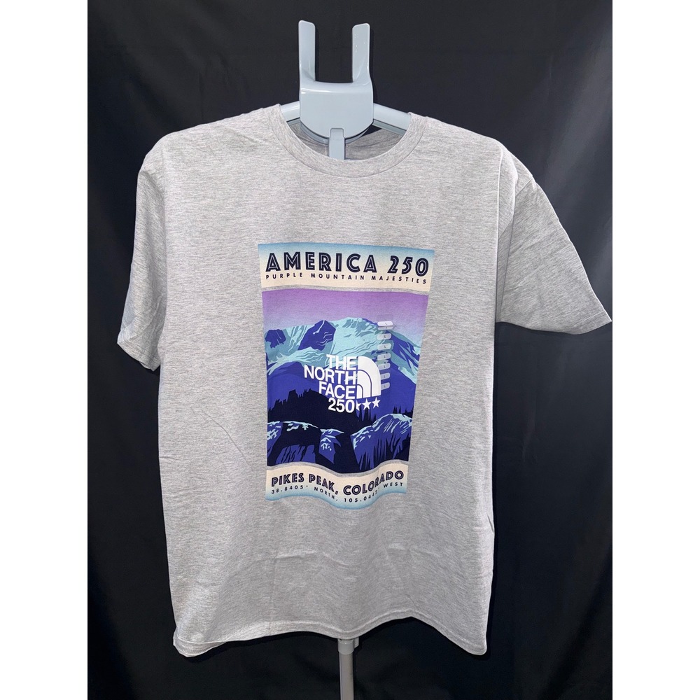 The North Face Mens America 250 Pikes Peak Colorado Relaxed T-Shirt Grey L NEW